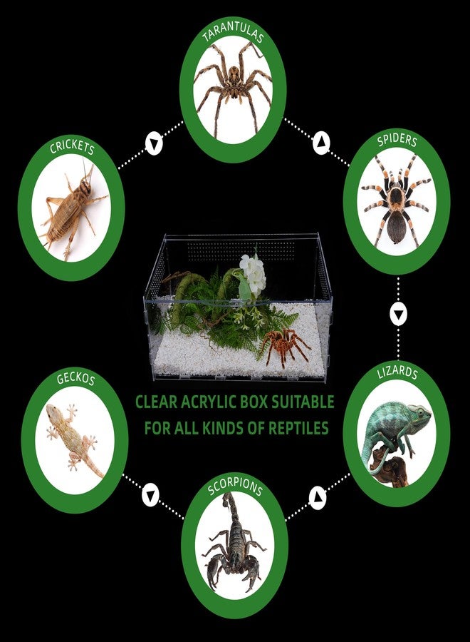 UCandy Micro Habitat Terrarium Enclosure, Jumping Spider Enclosure with Locking Latch for Small Tree Dwelling Reptiles,Tarantula, Amphibians, Spiders,Invertebrates (6x8x14 inxh) - Image 4